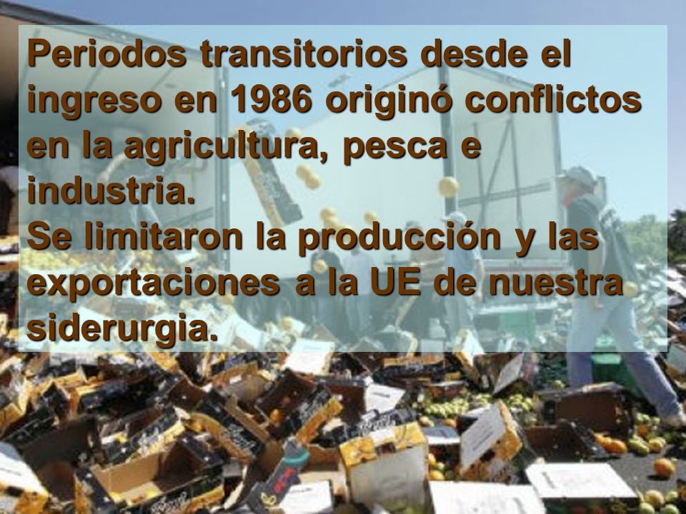 Periodos transitorios desde el ingreso en 1986 originó conflictos en la agricultura, pesca e industria.