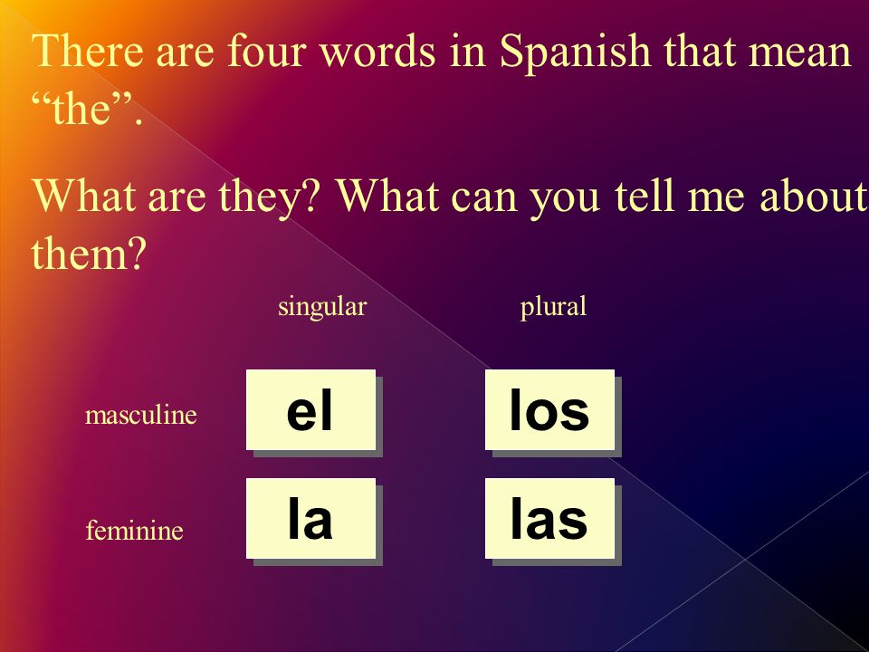 There are four words in Spanish that mean the. What are they.