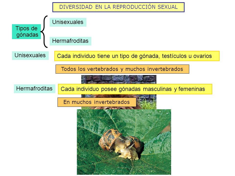 Imagen relacionada