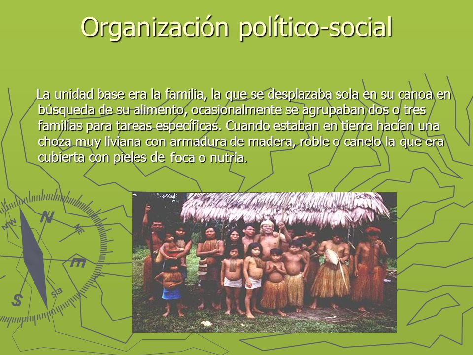 Organización político-social La unidad base era la familia, la que se desplazaba sola en su canoa en búsqueda de su alimento, ocasionalmente se agrupaban dos o tres familias para tareas específicas.