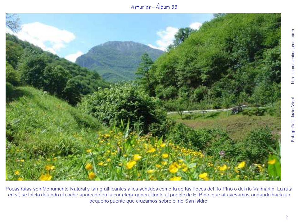 2 Asturias - Álbum 33 Fotografías: Javier Vidal http: asturiasenimagenes.com Pocas rutas son Monumento Natural y tan gratificantes a los sentidos como la de las Foces del río Pino o del río Valmartín.