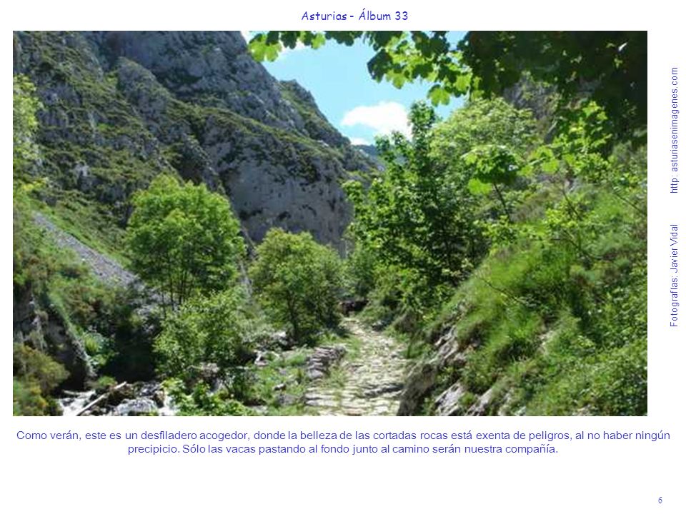 6 Asturias - Álbum 33 Fotografías: Javier Vidal http: asturiasenimagenes.com Como verán, este es un desfiladero acogedor, donde la belleza de las cortadas rocas está exenta de peligros, al no haber ningún precipicio.