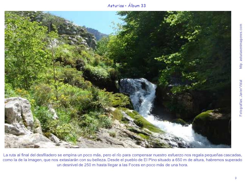 9 Asturias - Álbum 33 Fotografías: Javier Vidal http: asturiasenimagenes.com La ruta al final del desfiladero se empina un poco más, pero el río para compensar nuestro esfuerzo nos regala pequeñas cascadas, como la de la imagen, que nos extasiarán con su belleza.