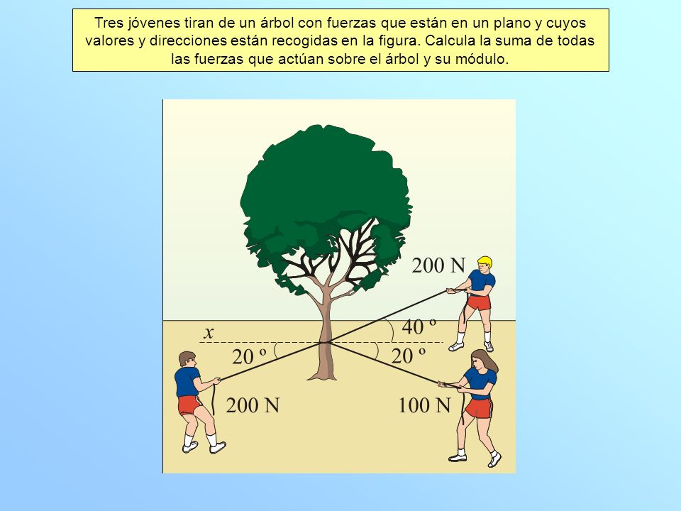 Tres jóvenes tiran de un árbol con fuerzas que están en un plano y cuyos valores y direcciones están recogidas en la figura.