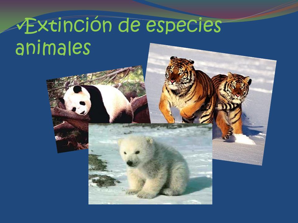 Extinción de especies animales