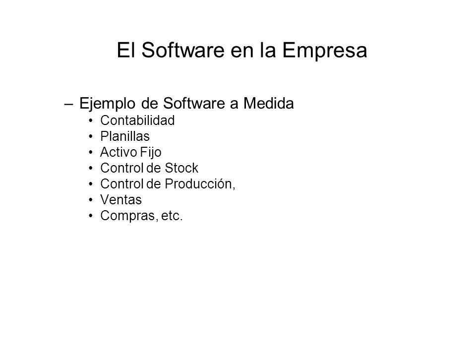 El Software en la Empresa –Ejemplo de Software a Medida Contabilidad Planillas Activo Fijo Control de Stock Control de Producción, Ventas Compras, etc.