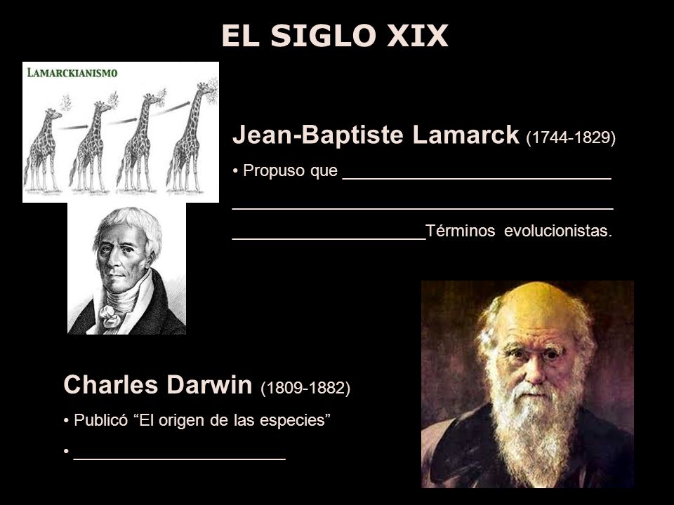 EL SIGLO XIX Jean-Baptiste Lamarck ( ) Propuso que _____________________________ _________________________________________ _____________________Términos evolucionistas.