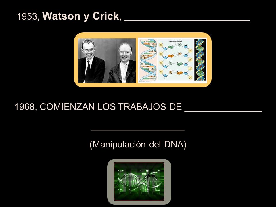 1953, Watson y Crick, _________________________________ 1968, COMIENZAN LOS TRABAJOS DE _______________ __________________ (Manipulación del DNA)