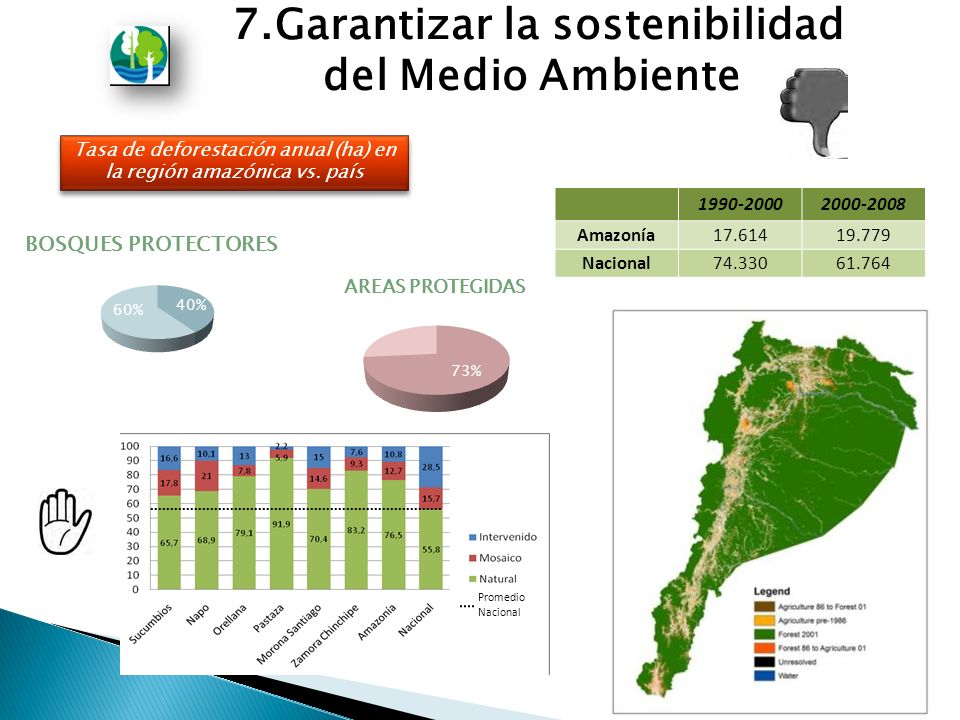 Tasa de deforestación anual (ha) en la región amazónica vs.