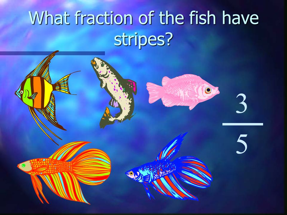 What fraction of the fish have stripes 3 5