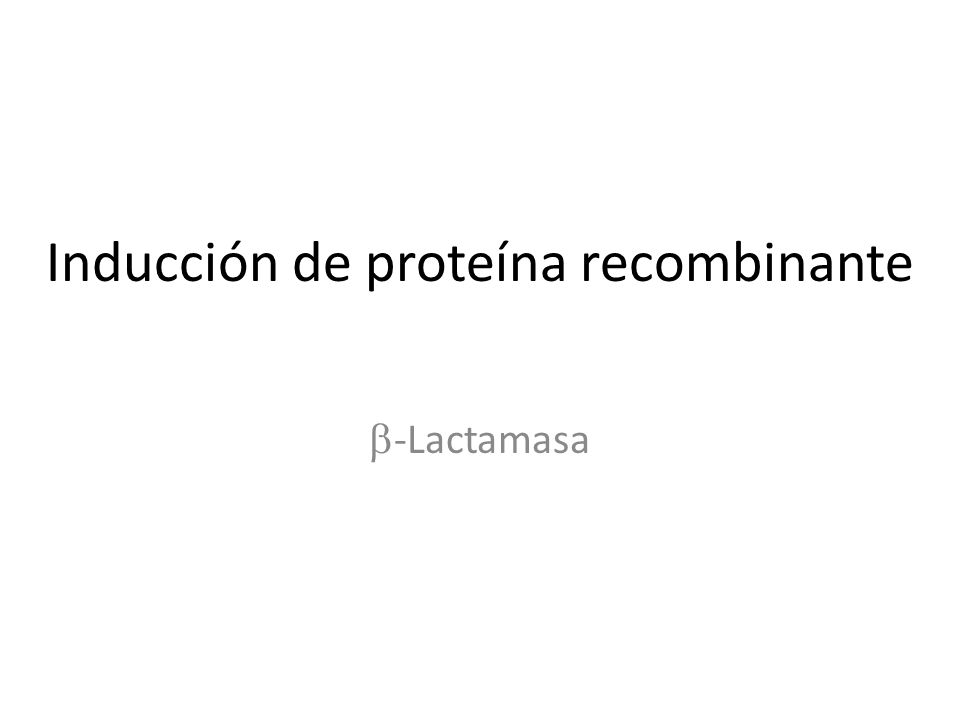 Inducción de proteína recombinante -Lactamasa