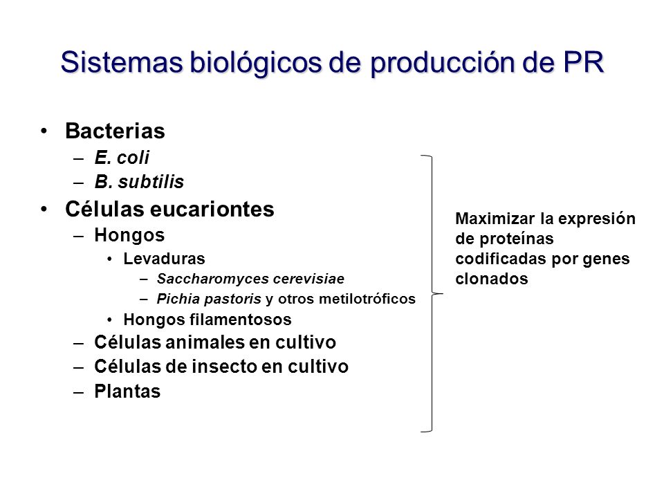 Sistemas biológicos de producción de PR Bacterias –E.