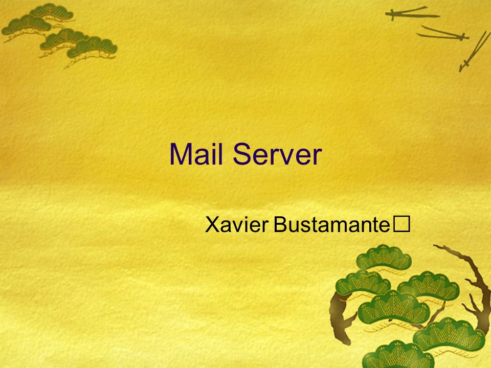 Mail Server Xavier Bustamante