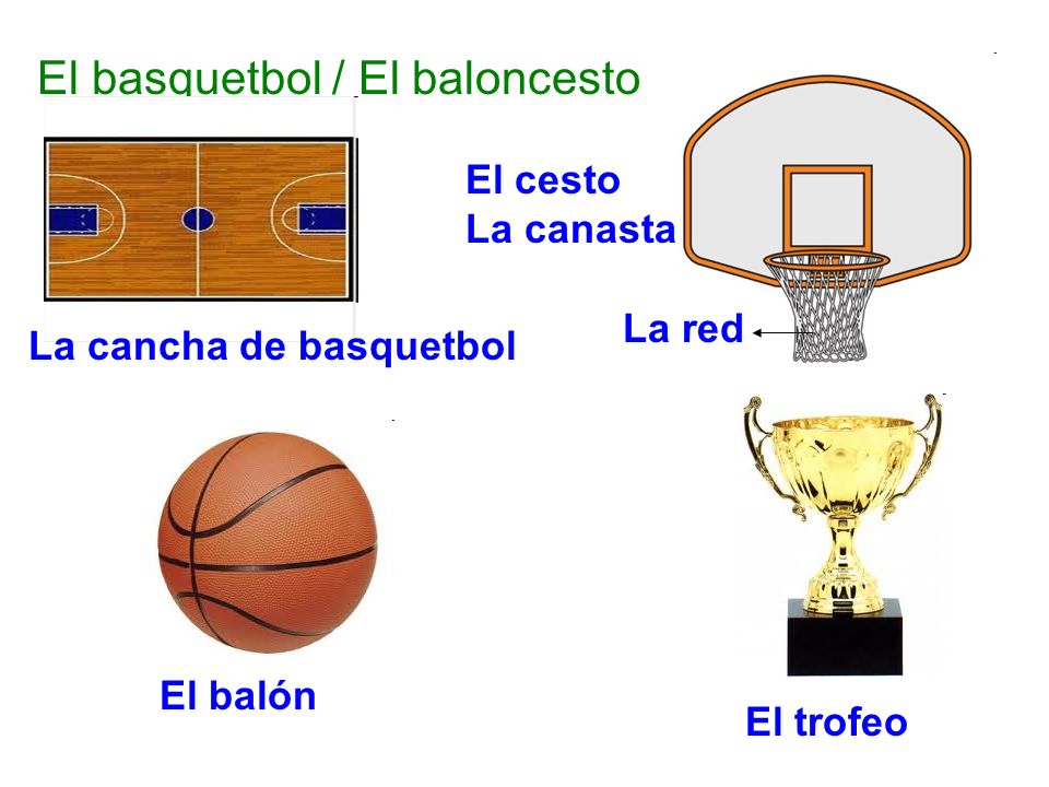El basquetbol / El baloncesto La cancha de basquetbol El cesto La canasta La red El balón El trofeo