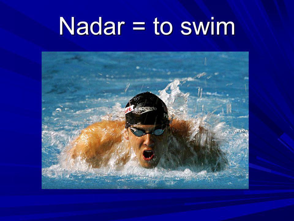 Nadar = to swim