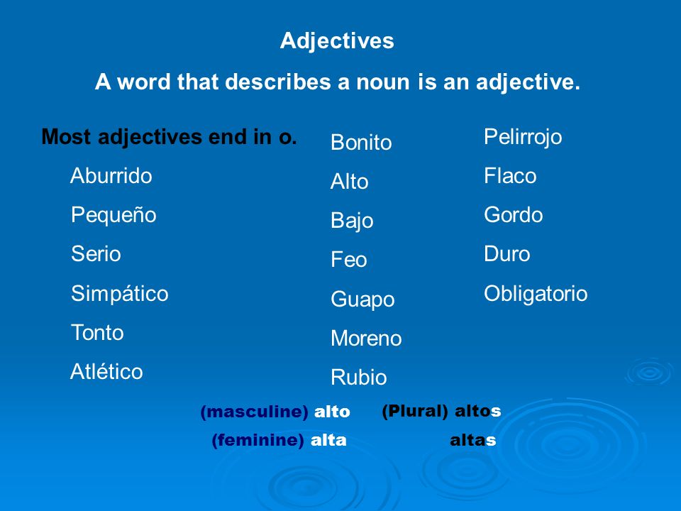 Adjectives A word that describes a noun is an adjective.