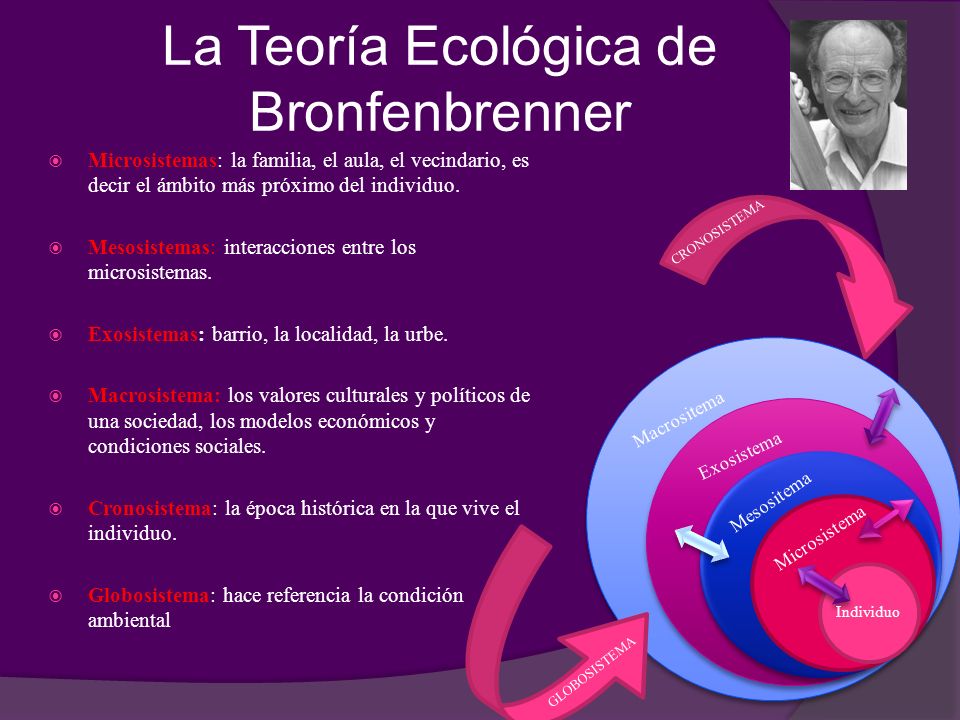 Modelos Teóricos Psicología Comunitaria: Modelo Ecológico