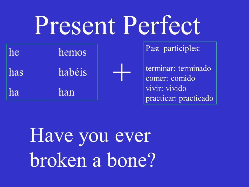 Present Perfect he hemos has habéis hahan Past participles: terminar: terminado comer: comido vivir: vivido practicar: practicado + Have you ever broken a bone