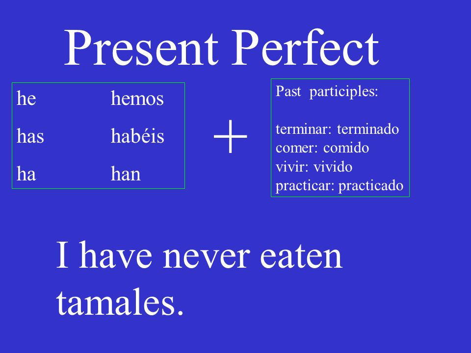 Present Perfect he hemos has habéis hahan Past participles: terminar: terminado comer: comido vivir: vivido practicar: practicado + I have never eaten tamales.