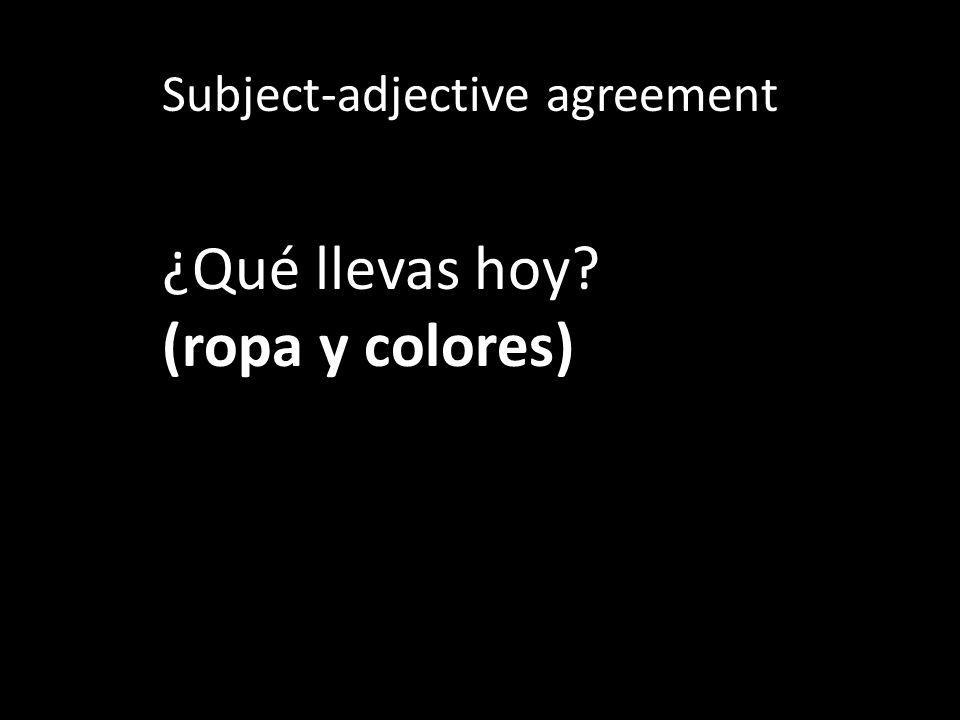 Subject-adjective agreement ¿Qué llevas hoy (ropa y colores)