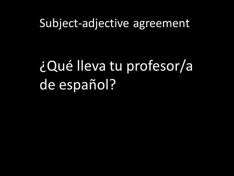 Subject-adjective agreement ¿Qué lleva tu profesor/a de español