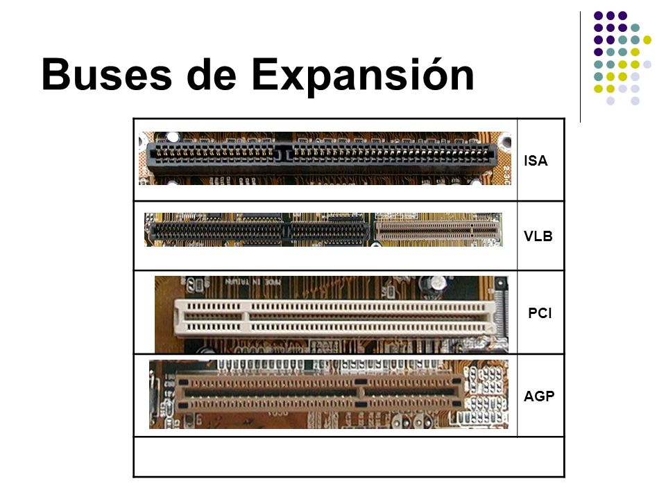 Resultado de imagen de buses de expansion