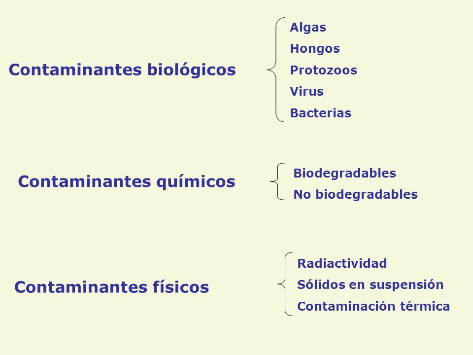 Contaminantes biológicos Contaminantes químicos Contaminantes físicos Algas Hongos Protozoos Virus Bacterias Biodegradables No biodegradables Radiactividad Sólidos en suspensión Contaminación térmica