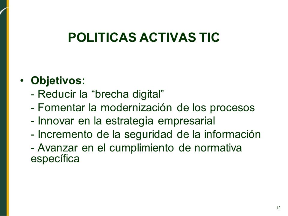 12 POLITICAS ACTIVAS TIC Objetivos: - Reducir la brecha digital - Fomentar la modernización de los procesos - Innovar en la estrategia empresarial - Incremento de la seguridad de la información - Avanzar en el cumplimiento de normativa específica