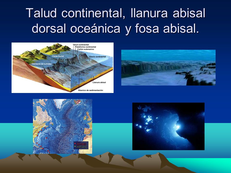 Talud continental, llanura abisal dorsal oceánica y fosa abisal.