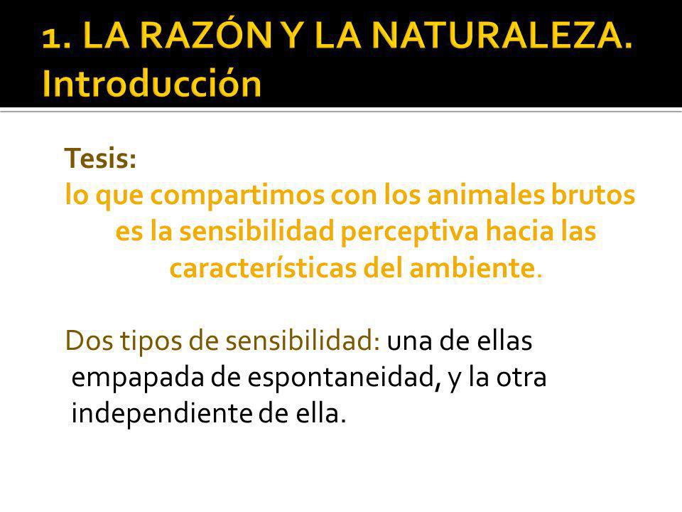 Tesis: lo que compartimos con los animales brutos es la sensibilidad perceptiva hacia las características del ambiente.