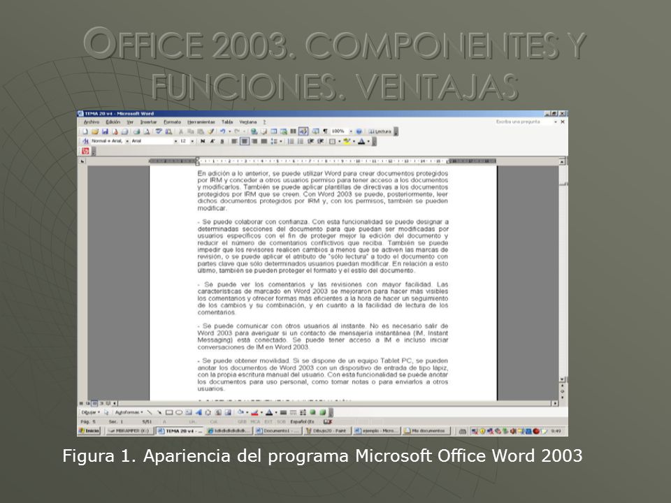 Figura 1. Apariencia del programa Microsoft Office Word 2003