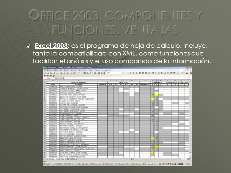 Excel 2003: es el programa de hoja de cálculo.