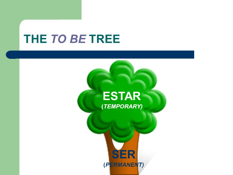 THE TO BE TREE ESTAR (TEMPORARY) SER (PERMANENT)