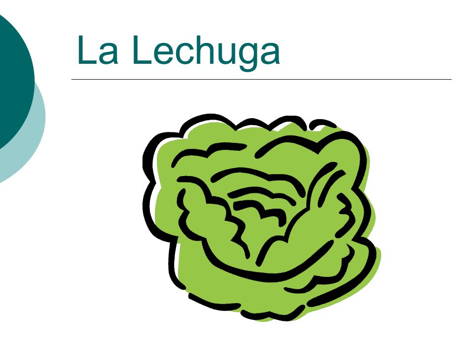 La Lechuga