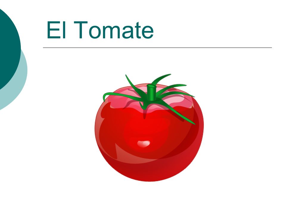 El Tomate