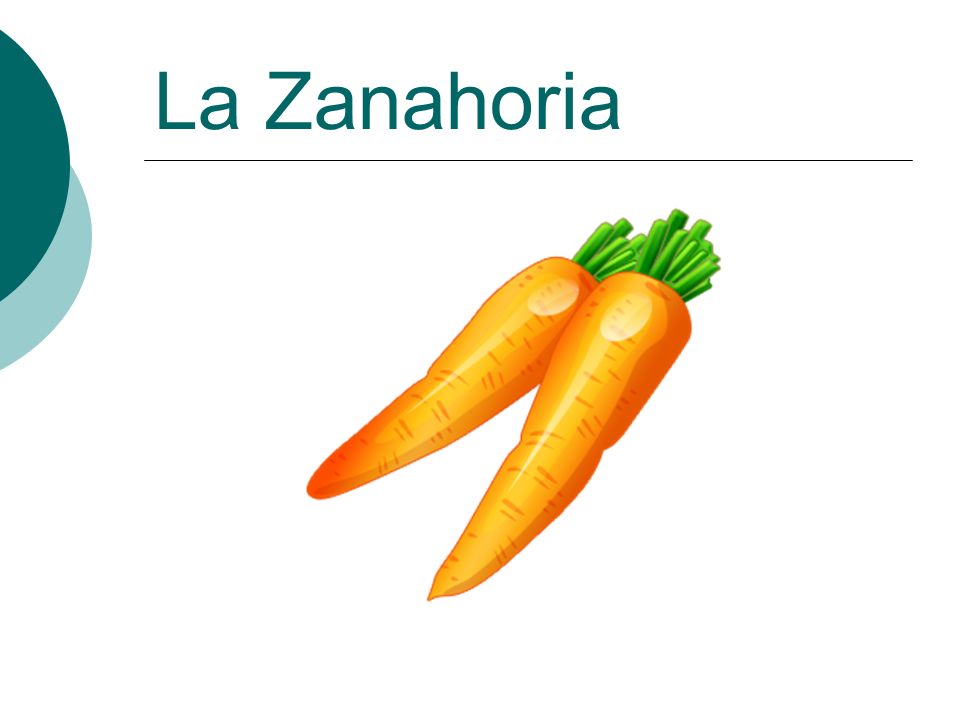 La Zanahoria