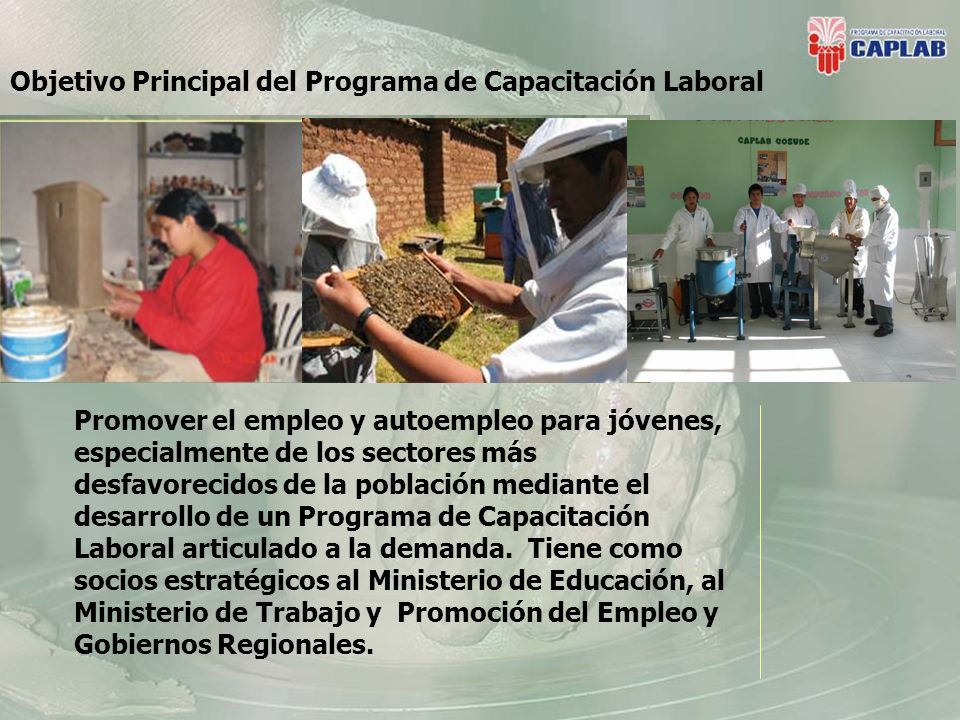 Objetivo Principal del Programa de Capacitación Laboral Promover el empleo y autoempleo para jóvenes, especialmente de los sectores más desfavorecidos de la población mediante el desarrollo de un Programa de Capacitación Laboral articulado a la demanda.