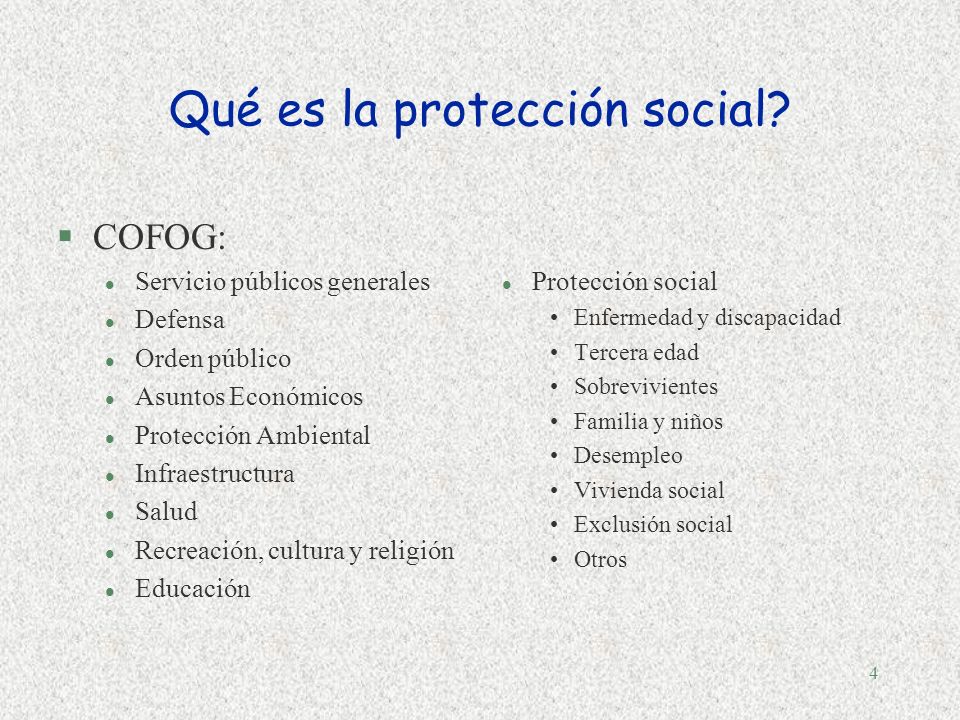 4 Qué es la protección social.