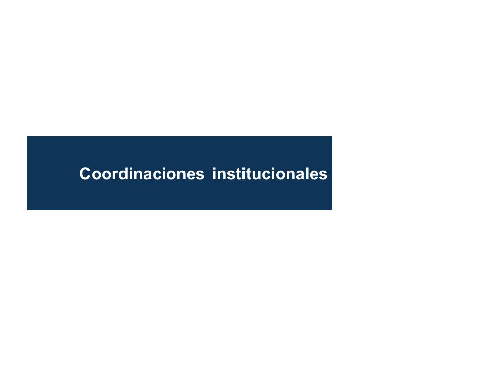 Coordinaciones institucionales