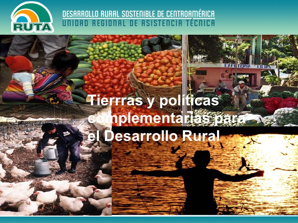Tierrras y políticas complementarias para el Desarrollo Rural