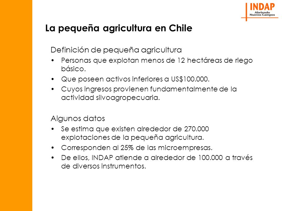 La pequeña agricultura en Chile Definición de pequeña agricultura Personas que explotan menos de 12 hectáreas de riego básico.