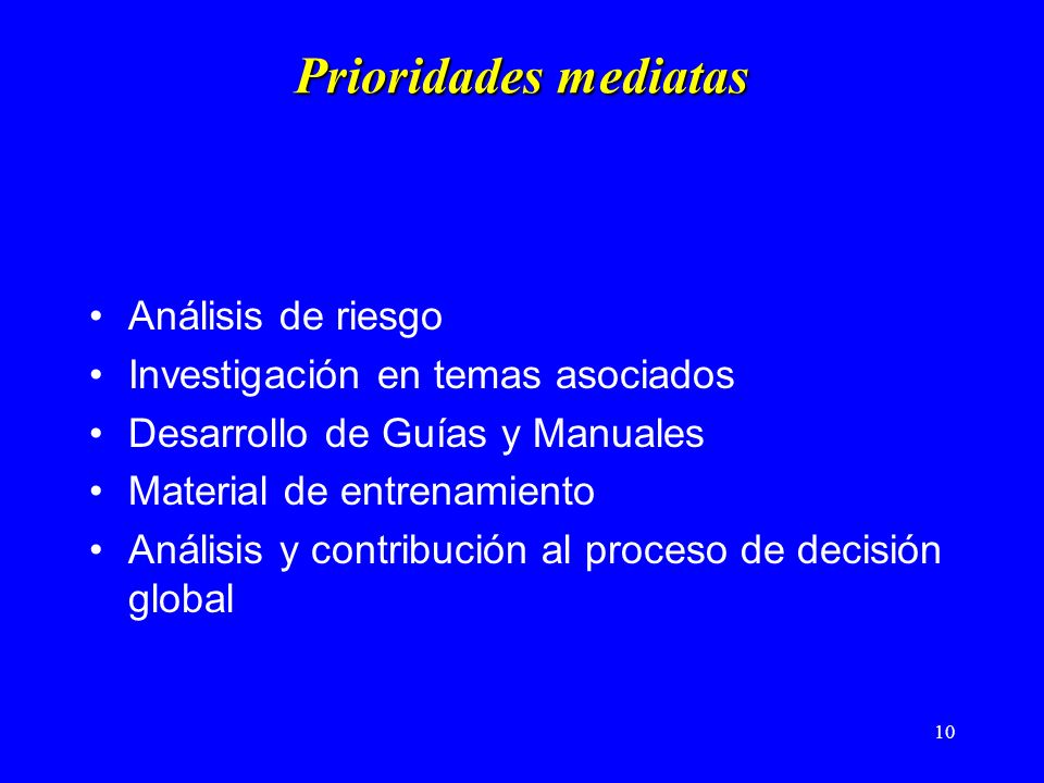 10 Prioridades mediatas Análisis de riesgo Investigación en temas asociados Desarrollo de Guías y Manuales Material de entrenamiento Análisis y contribución al proceso de decisión global