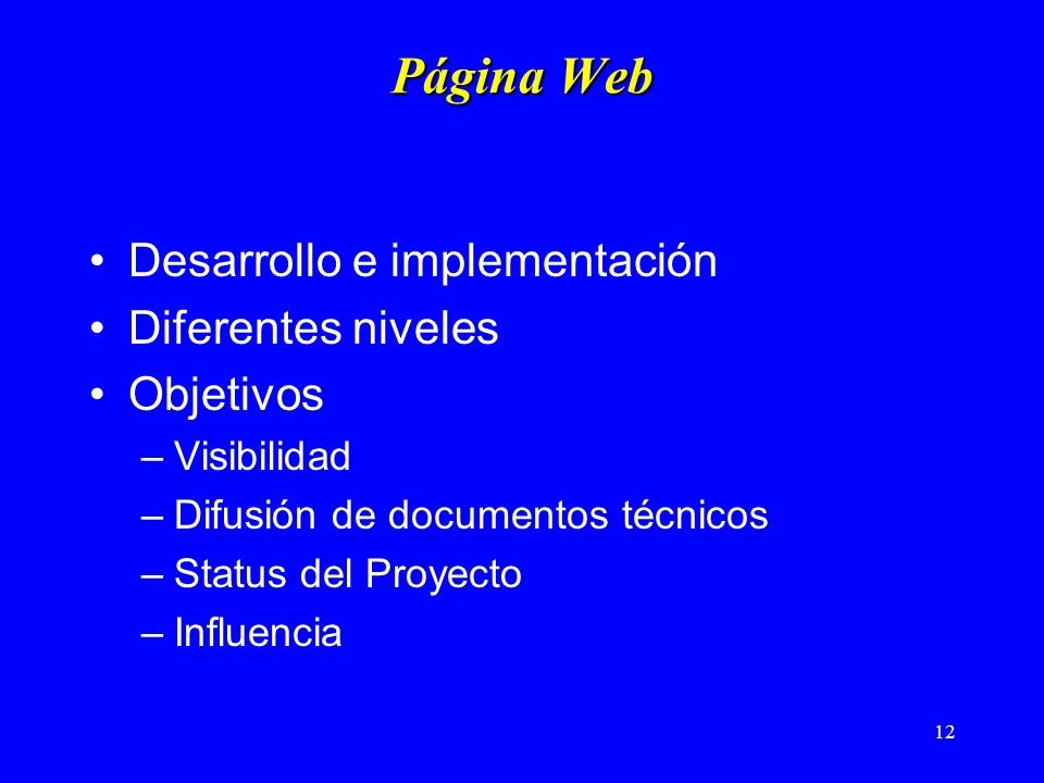 12 Página Web Desarrollo e implementación Diferentes niveles Objetivos –Visibilidad –Difusión de documentos técnicos –Status del Proyecto –Influencia