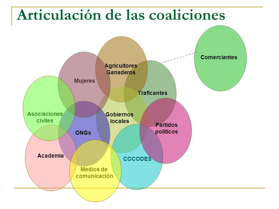 Articulación de las coaliciones Mujeres ONGs Academia Asociaciones civiles COCODES Medios de comunicación Comerciantes Partidos políticos