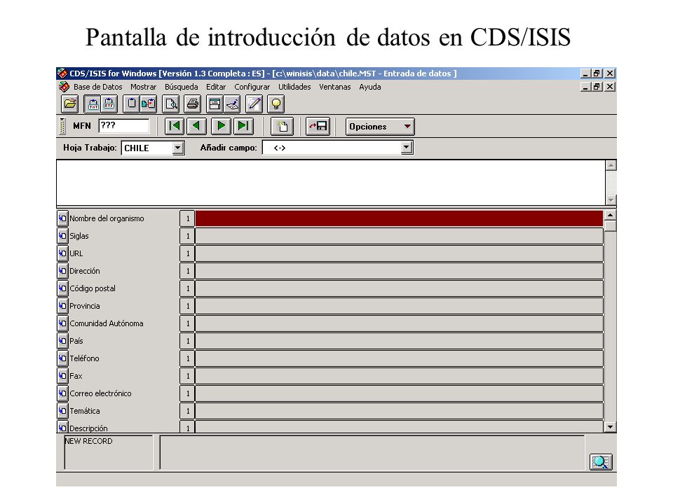 Pantalla de introducción de datos en CDS/ISIS