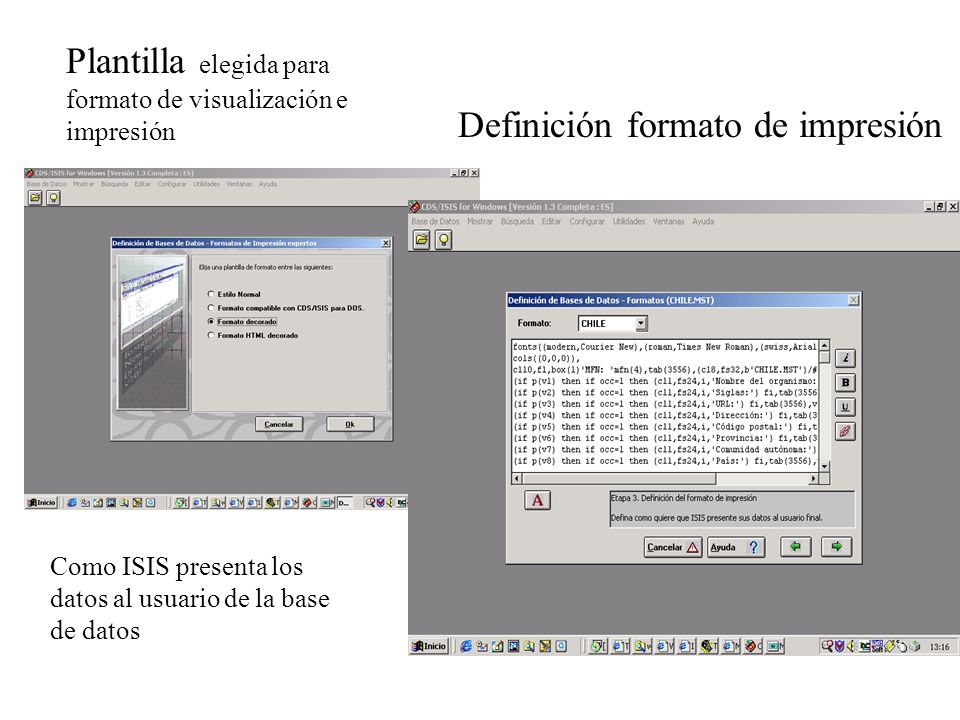 Plantilla elegida para formato de visualización e impresión Definición formato de impresión Como ISIS presenta los datos al usuario de la base de datos