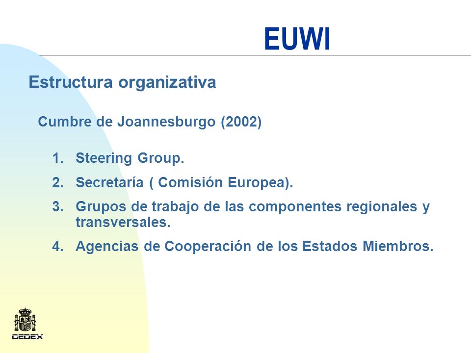 EUWI Estructura organizativa Cumbre de Joannesburgo (2002) 1.Steering Group.