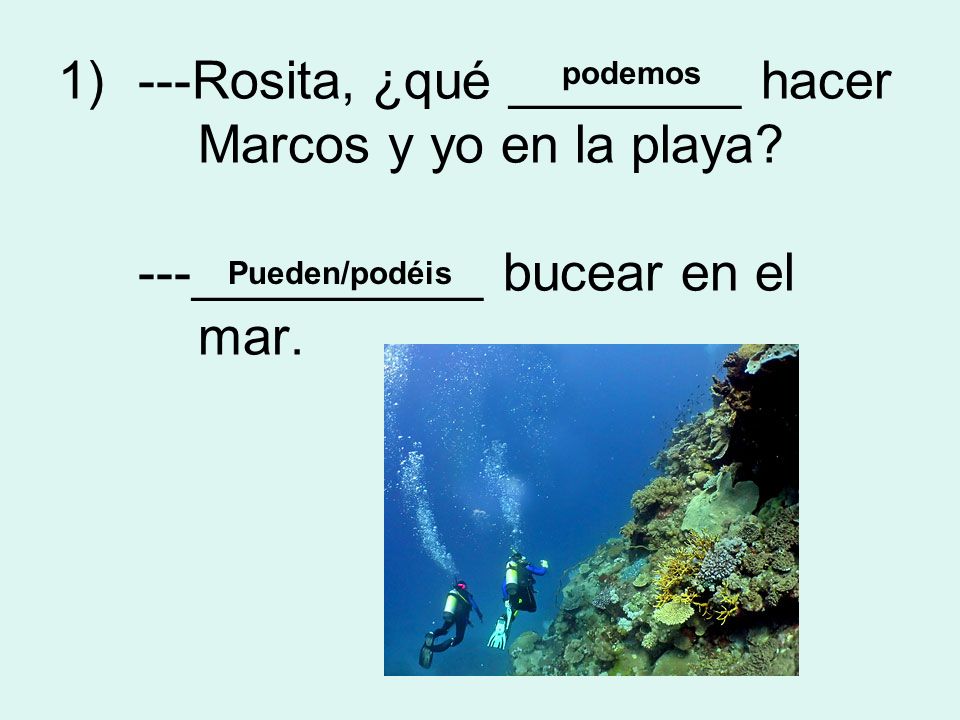 1)---Rosita, ¿qué ________ hacer Marcos y yo en la playa.