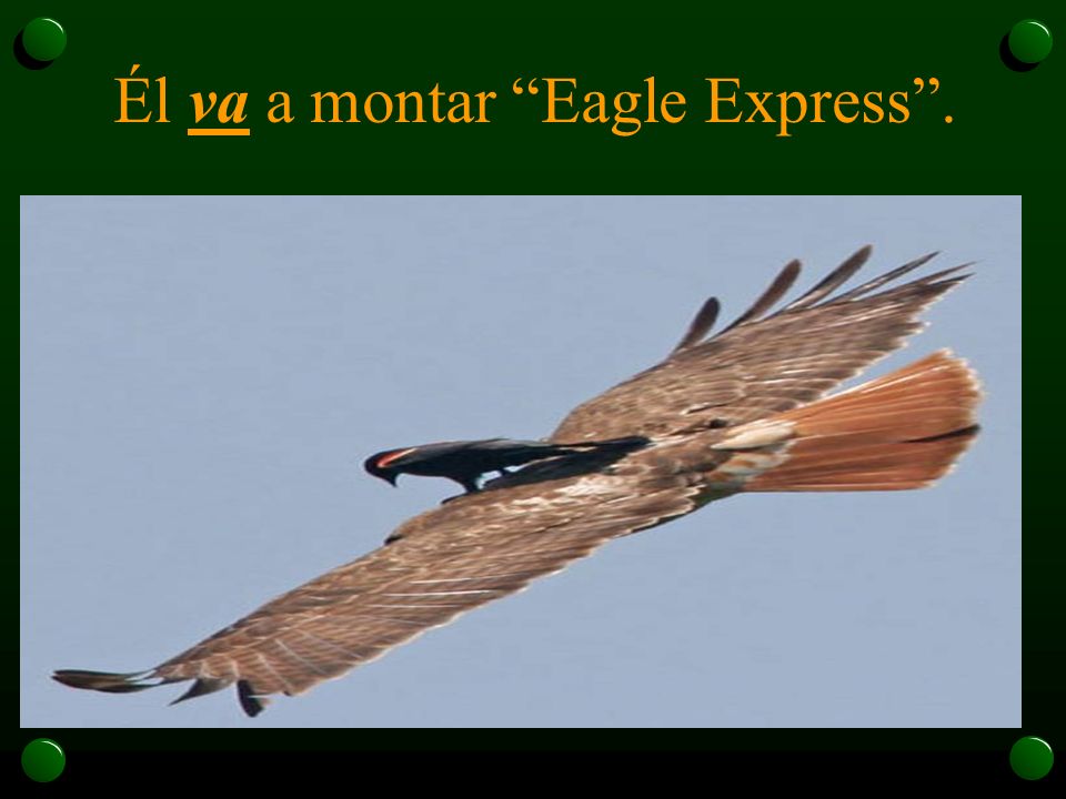Él va a montar Eagle Express.