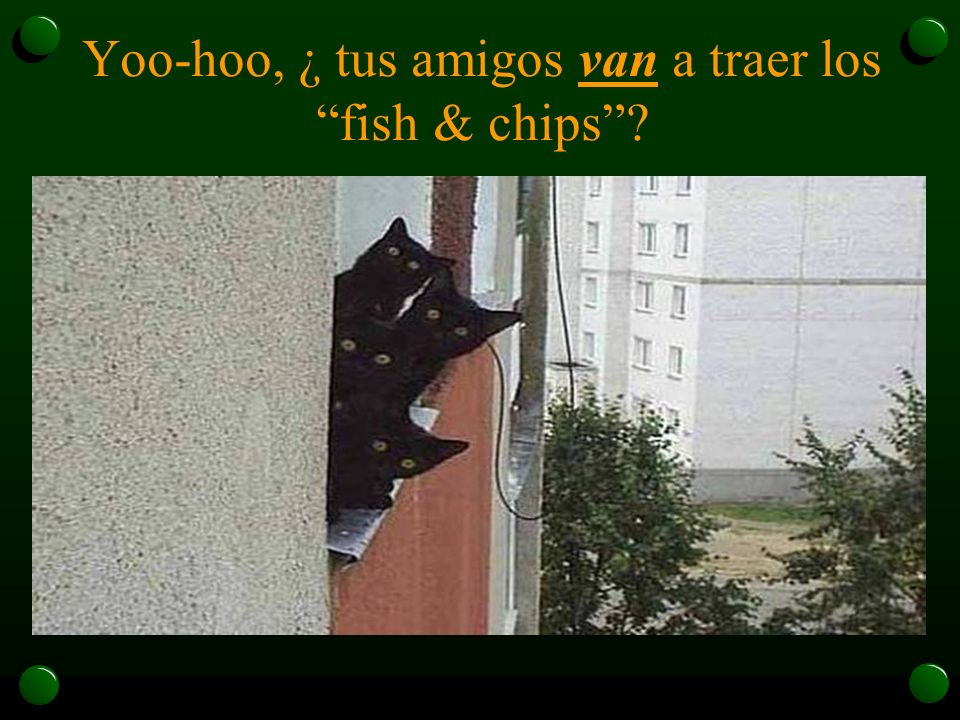 Yoo-hoo, ¿ tus amigos van a traer los fish & chips